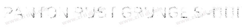 Panton Rust Grunge S字体转换